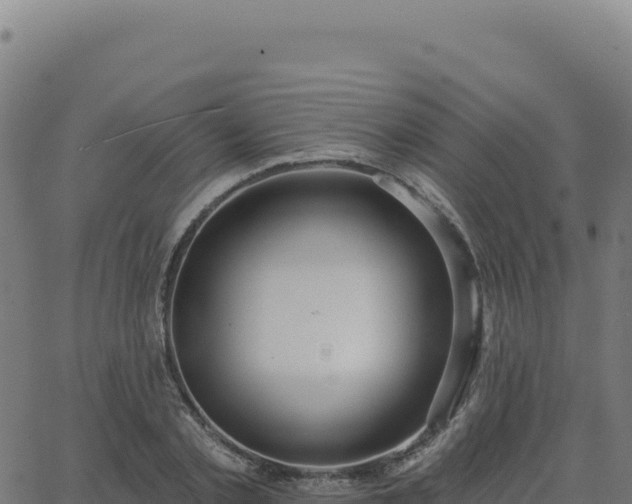 X0000062860789200601201727