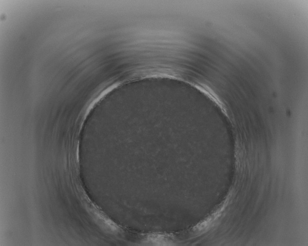 X0000062860790200601201727