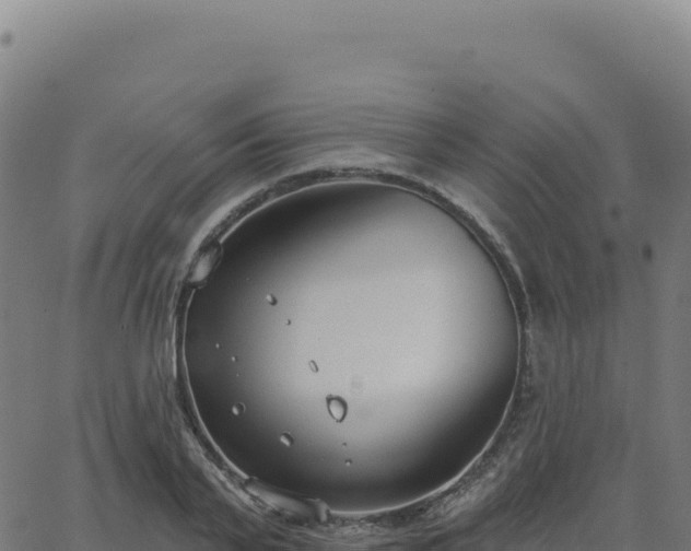 X0000062860791200601201727