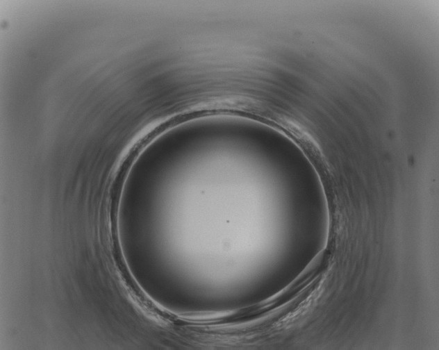 X0000062860792200601201727