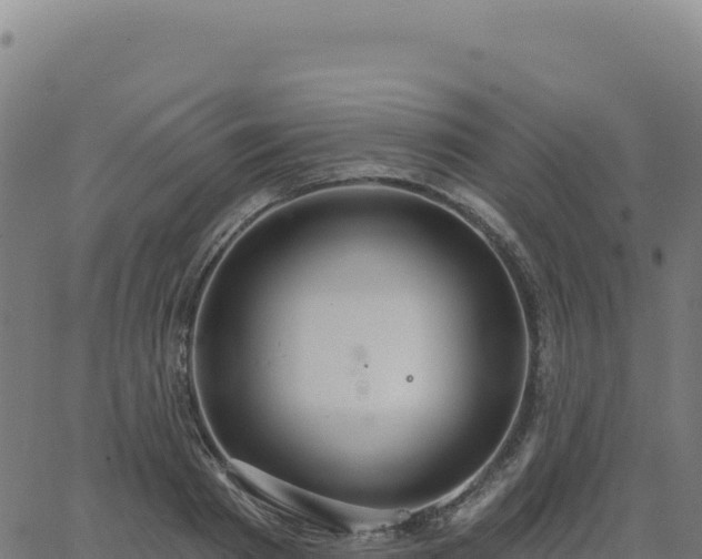 X0000062860793200601201727