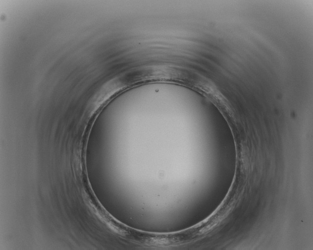 X0000062860794200601201727