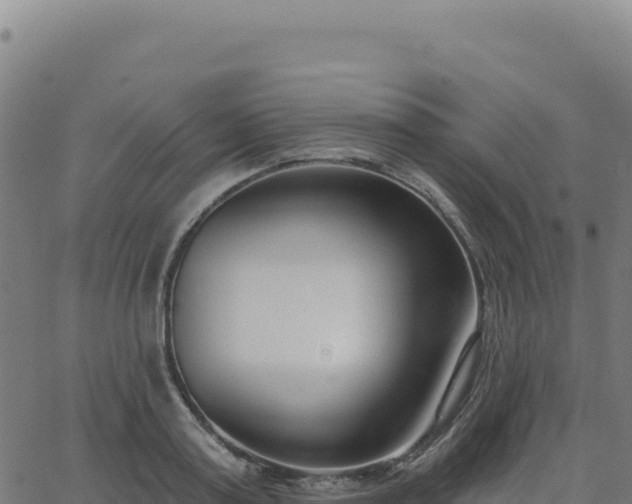 X0000062860795200601201727