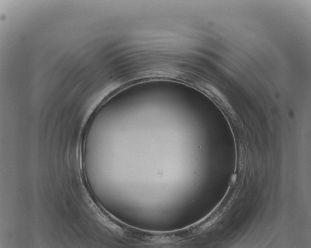 X0000062860796200601201727