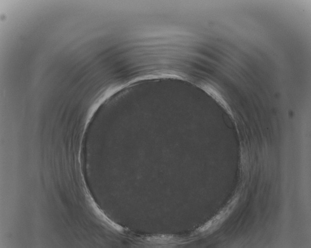 X0000062860797200601201727