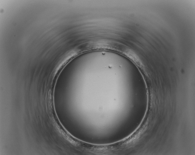 X0000062860798200601201727