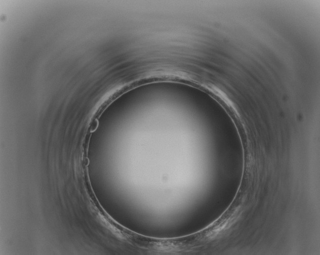 X0000062860799200601201727