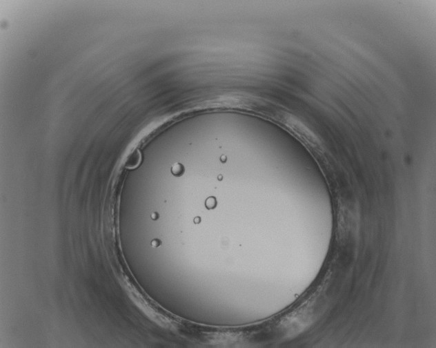 X0000062860800200601201727