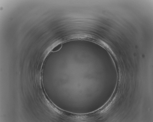 X0000062860802200601201727