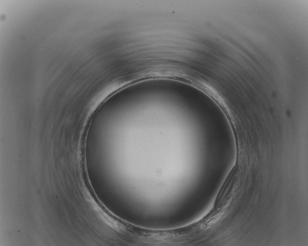 X0000062860803200601201727