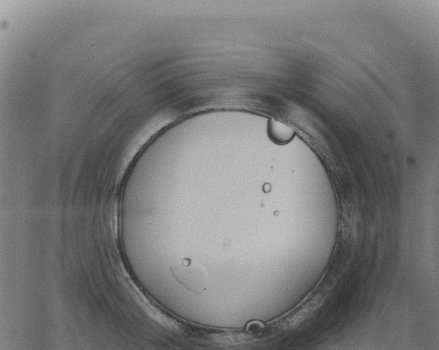 X0000062860804200601201727