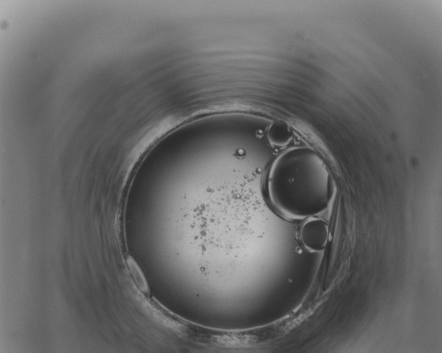 X0000062860805200601201727