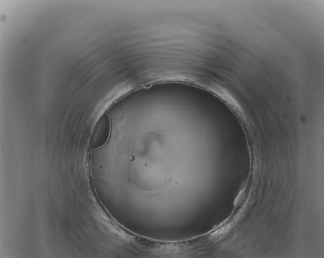 X0000062860806200601201727