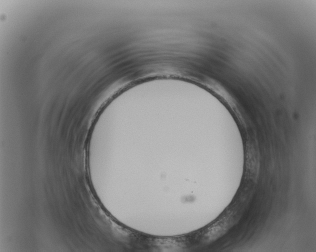 X0000062860807200601201727