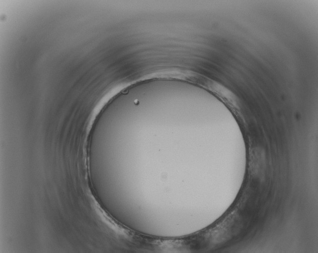 X0000062860808200601201727