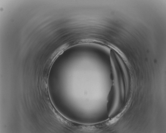 X0000062860809200601201727