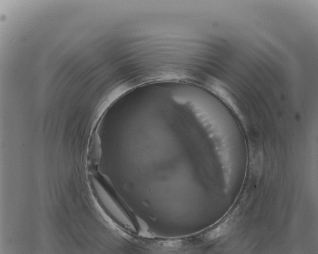 X0000062860810200601201727