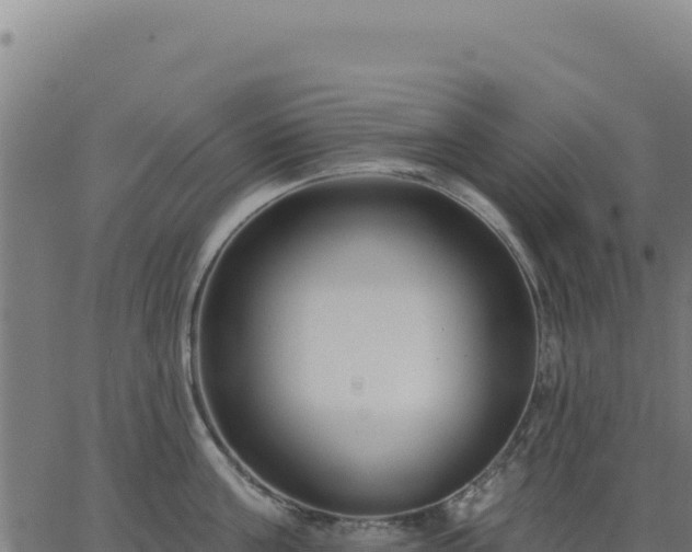 X0000062860811200601201727