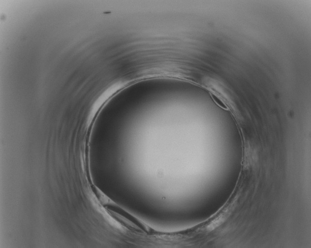 X0000062860812200601201727