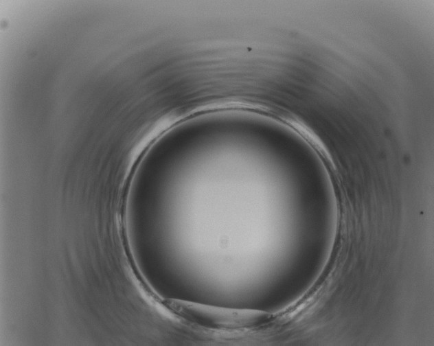 X0000062860813200601201727