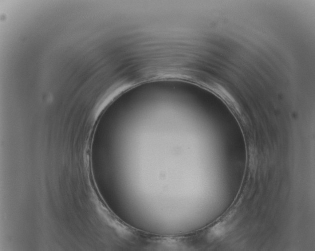 X0000062860814200601201727