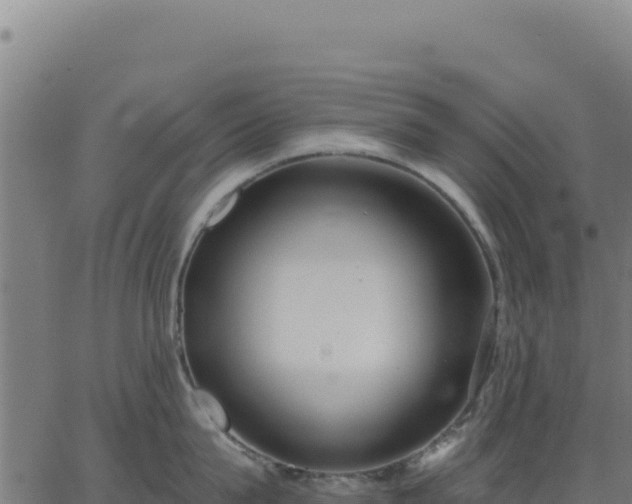 X0000062860815200601201727