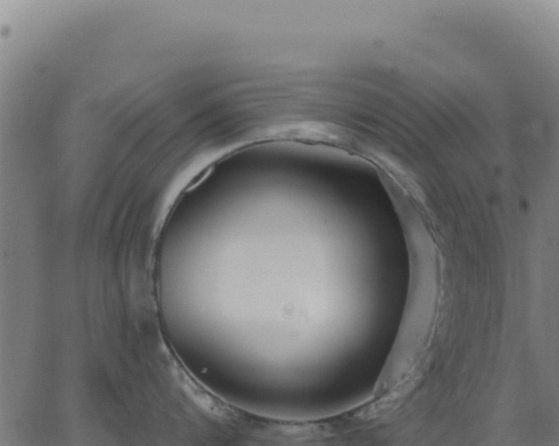 X0000062860816200601201727