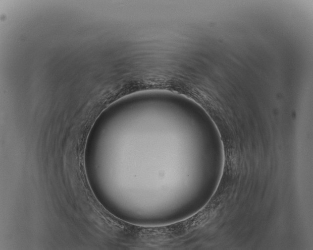 X0000062860817200601201726