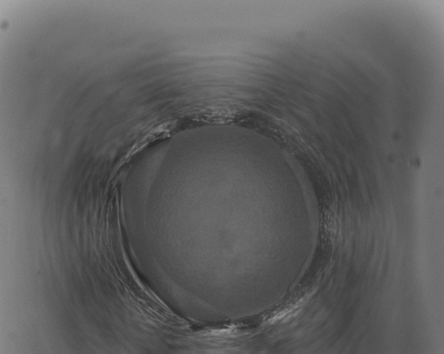 X0000062860818200601201726