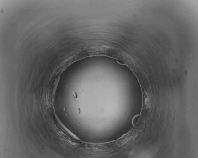 X0000062860819200601201726