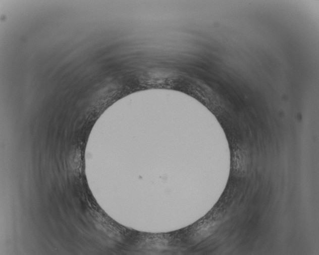 X0000062860820200601201726