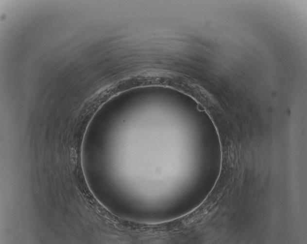 X0000062860821200601201726