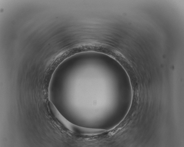 X0000062860822200601201726