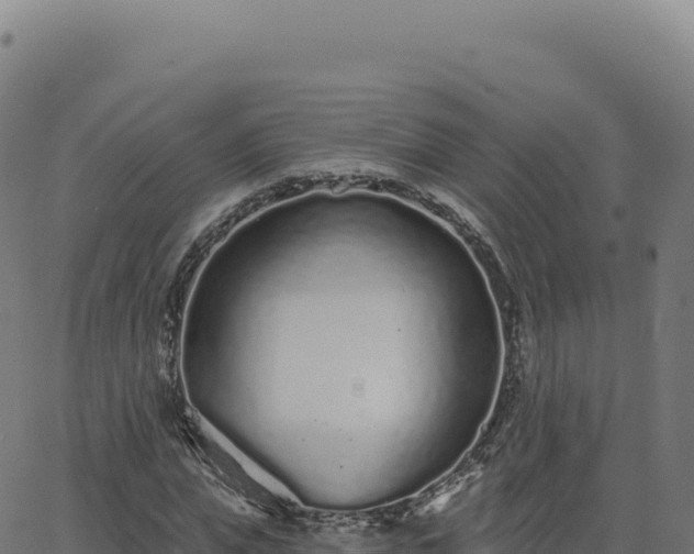 X0000062860823200601201726