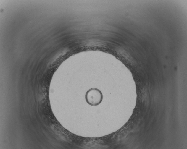 X0000062860824200601201726