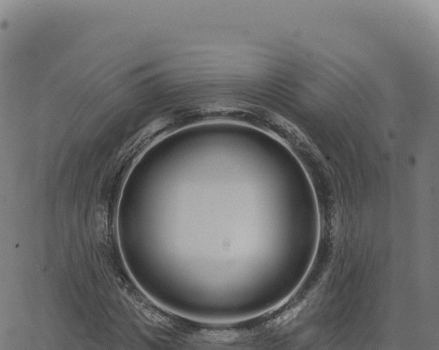 X0000062860825200601201726