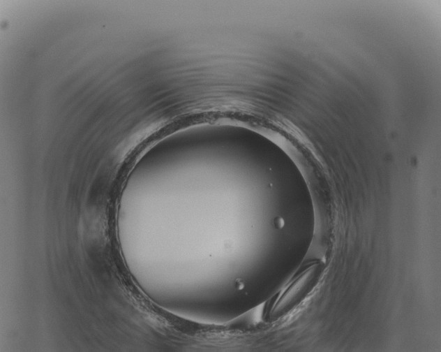 X0000062860826200601201726