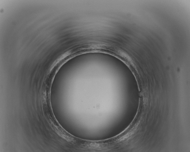 X0000062860827200601201726