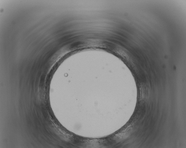 X0000062860828200601201726