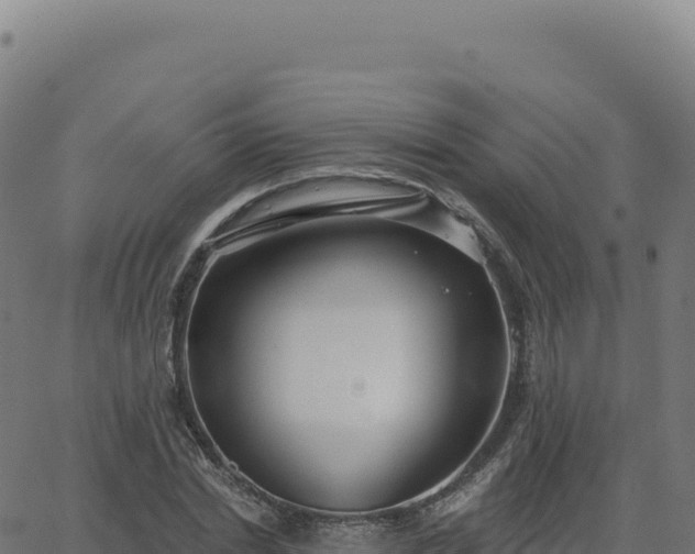 X0000062860830200601201726