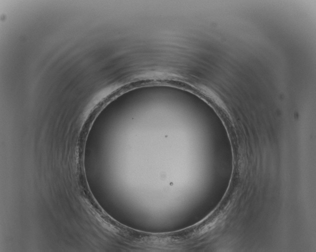 X0000062860831200601201726