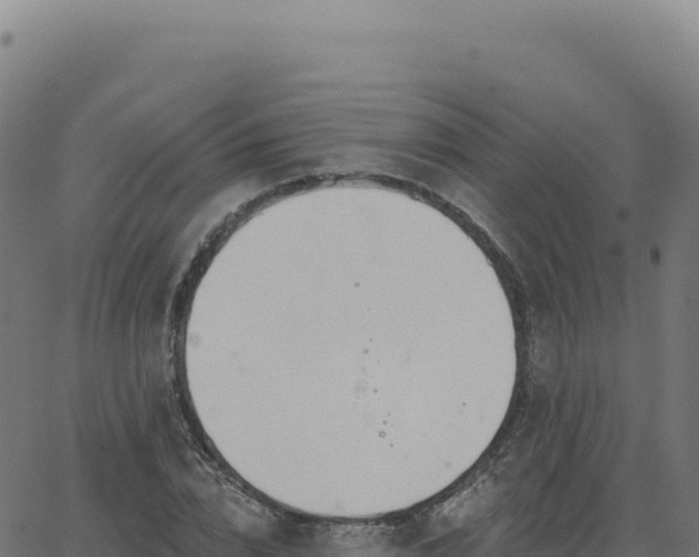 X0000062860832200601201726