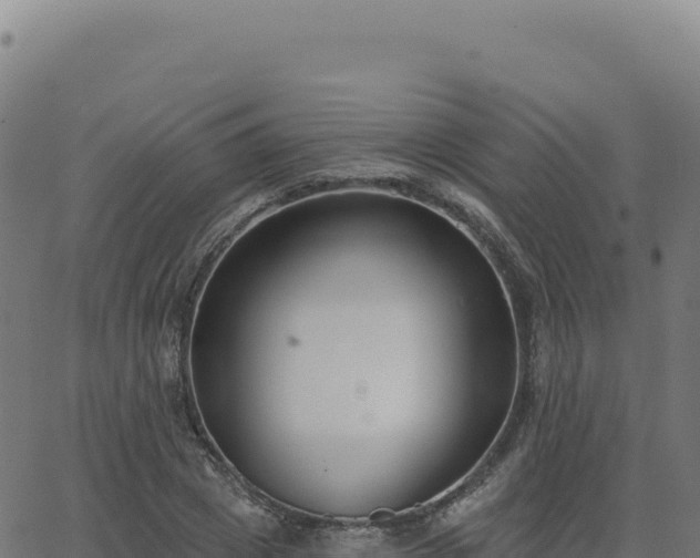 X0000062860833200601201727