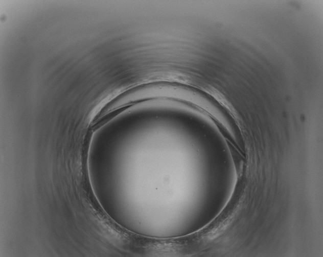 X0000062860834200601201727