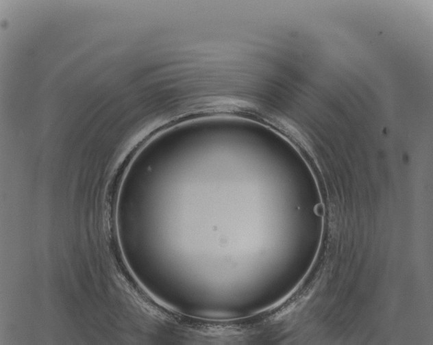 X0000062860835200601201727