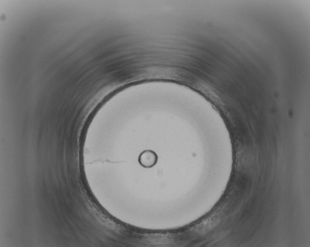 X0000062860836200601201727