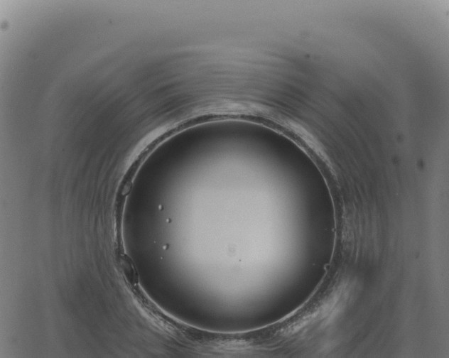 X0000062860837200601201727