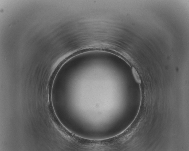 X0000062860838200601201727