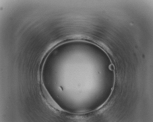 X0000062860839200601201727