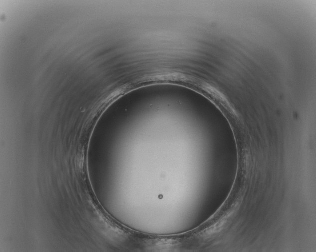 X0000062860841200601201727